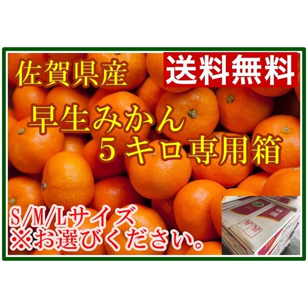 [予約 2023年11月1日-11月30日の納品] みかん S M L  5kg 佐賀県 熊本県産ほか 早生