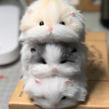 精選好物🌈扭扭棒豚鼠手工diy材料包小狗荷蘭豬玩偶男女孩兒童玩具生日禮物