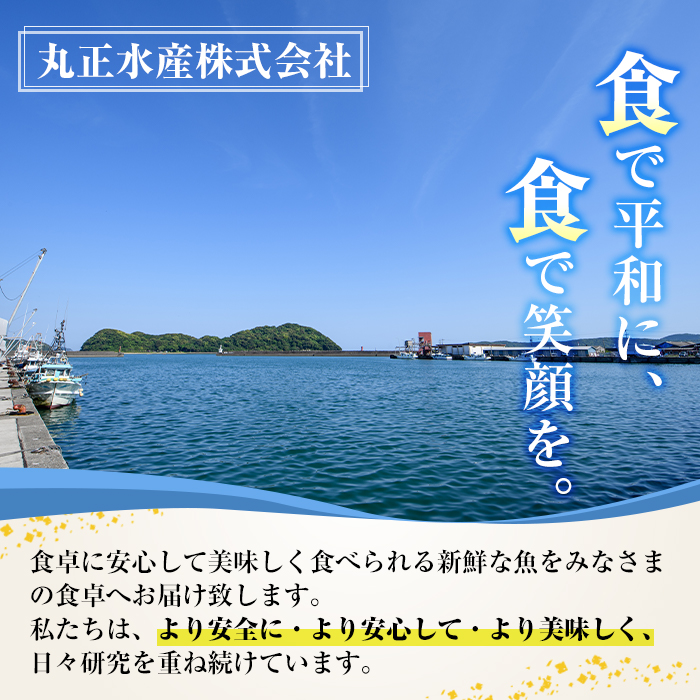 九州産青あじ干物(5枚×8P・計40枚)甘塩仕上げの青アジ干物！日常使いに便利な小ぶりサイズを厳選！5枚ずつ個包装で便利！おかず・お酒のおつまみにも！