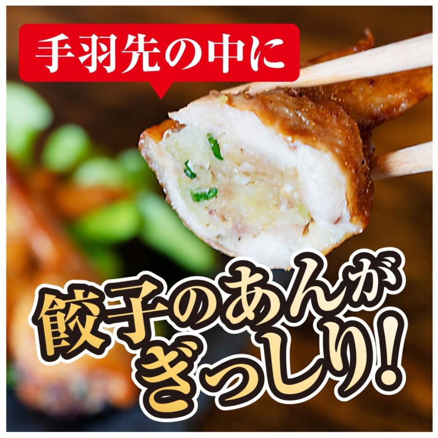 手羽先餃子　5本パック　プレーン味