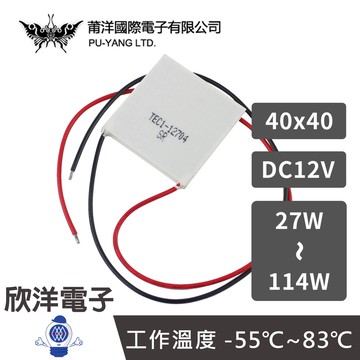 莆洋 40x40 DC12V 27~114W 半導體製冷晶片致冷晶片 (1504ABCDEFG) 電子 電工 電子材料