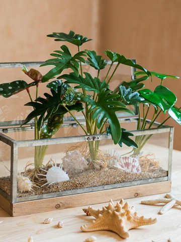 掬涵龜背竹芋仿真花綠植物水培長青裝飾擺件INS網紅北歐清新常綠