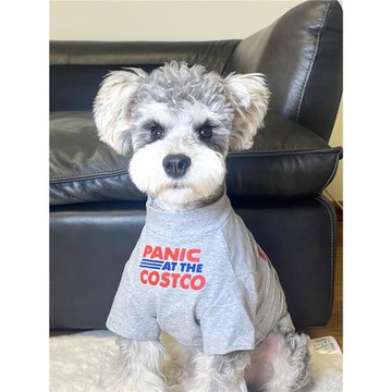 寵物貓狗衣服夏季純棉透氣灰色紅藍英文T恤室內防掉毛 中小大型犬