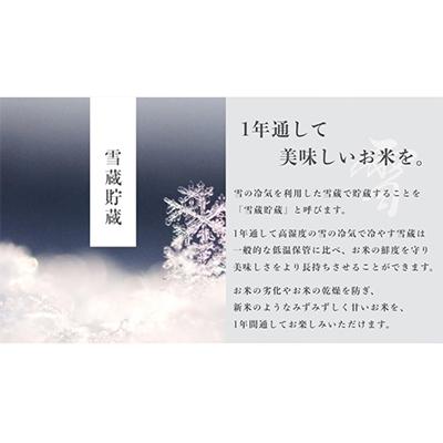 ふるさと納税 南魚沼市 《雪蔵貯蔵米》 南魚沼産コシヒカリ 雪と技×全3回