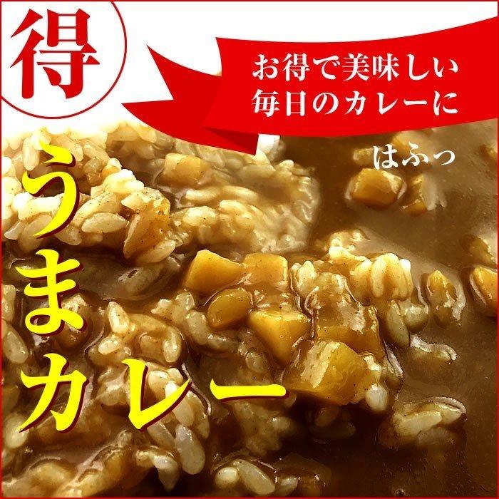 カレー レトルト180ｇ 計20食分セット ５食分×4袋 大容量 まとめ売り 業務用に レトルト 保存用カレー 中辛