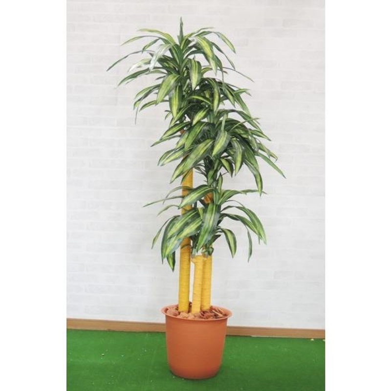 幸福の木 180cm (鉢植え インテリア グリーン 造花 観葉植物 おしゃれ