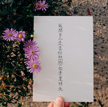 很願意的人。我問自己是否仍想與你共度明天 文字明信片 青青的島