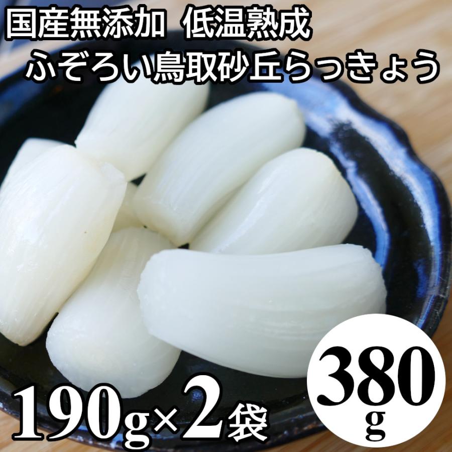 らっきょう 国産 190gx2袋 無添加 低温熟成 鳥取 ふぞろい らっきょう漬け ラッキョウ漬け 甘酢漬け 送料無料