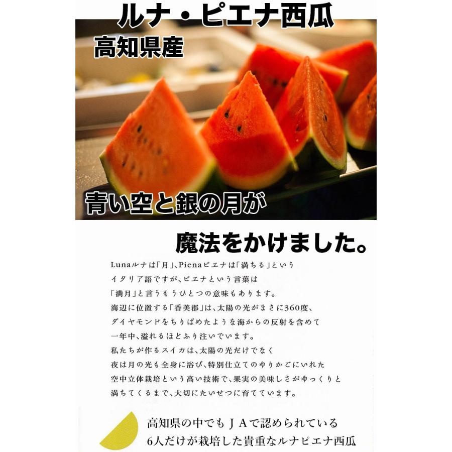 スイカ 西瓜 小玉 送料無料 高知県産 ルナピエナ 西瓜 約2kg以上 夜空 TVで紹介された貴重な西瓜