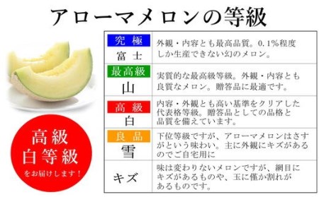 013-19　高級 マスクメロン 静岡県産アローマメロン　白級  2玉 　化粧箱入