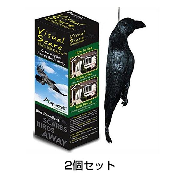 New防鳥クローン・カラス