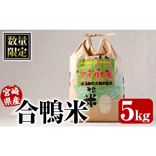 ふるさと納税 宮崎県 日之影町 ＜新米・令和5年産＞＜数量限定＞合鴨米(5kg×1袋)