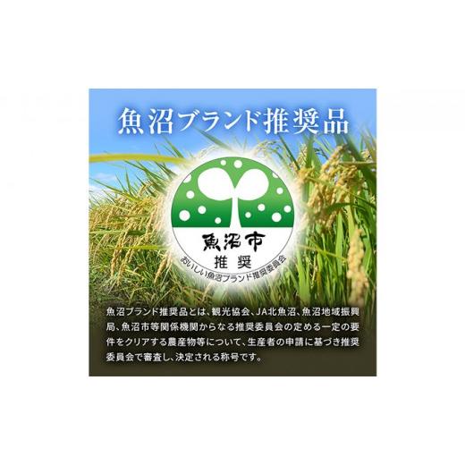 ふるさと納税 新潟県 魚沼市 [No.5762-0474]魚沼市産コシヒカリ一日市米　3ヶ月連続お届け