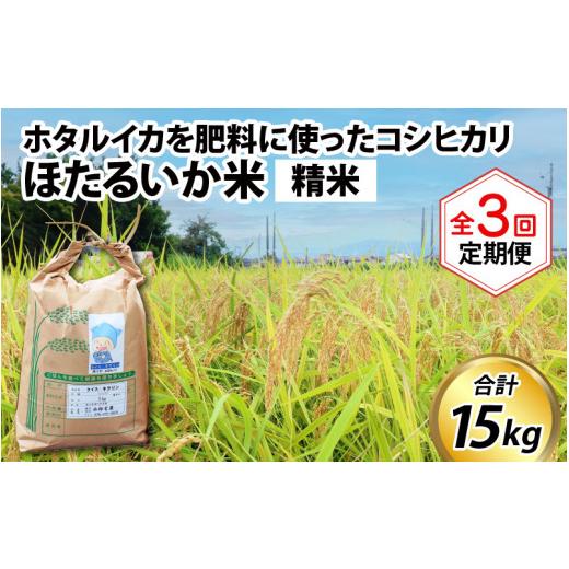 ふるさと納税 富山県 滑川市 ほたるいか米（精米５kg）×3回 計15kg