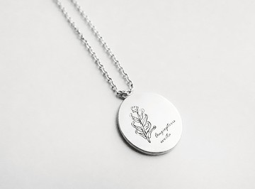 植物圖鑑-蓮座蕨