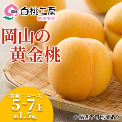 桃 黄金桃 等級 エース 約1.5kg 5～7玉入り もも 2024年[NO5765-0538]