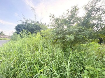 岡山阿公店溪景觀休閒田園大面寬農地｜高雄市岡山區嘉新段