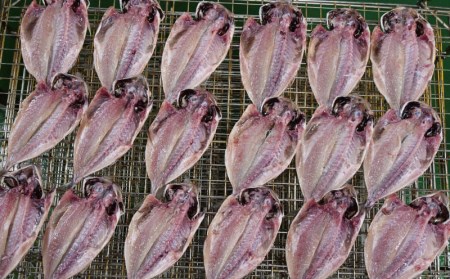 干物 魚 あじ ひもの 鯵ごのみ 15枚 中サイズ セット 沼津 送料無料