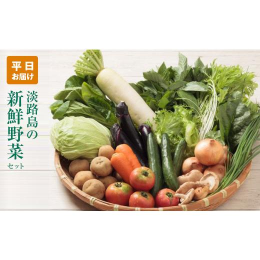 ふるさと納税 兵庫県 淡路市 淡路島の新鮮野菜セット