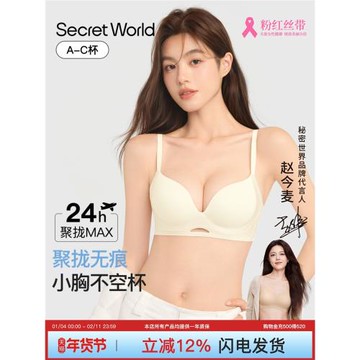 Secret World內衣女小胸聚攏顯大無痕美背2025款爆款無鋼圈文胸