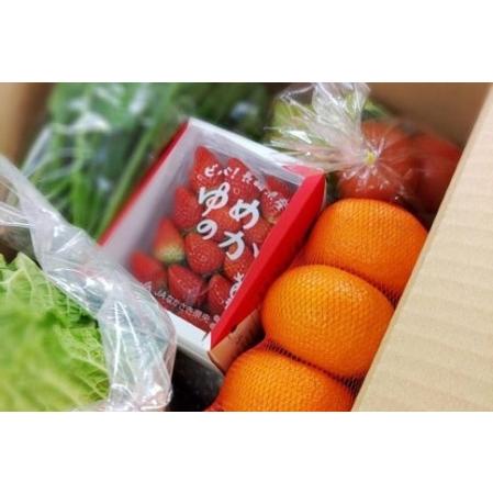 ふるさと納税 長崎県産　季節の野菜BOX 長崎県
