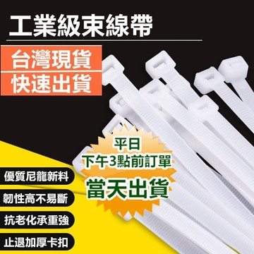 【隔日到貨 現貨】 紮線帶 工業級束線帶 束帶 綁帶 紮帶 延長線收納  線材收納 綑綁帶 寶來小舖