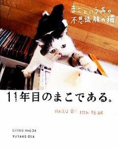  まこという名の不思議顔の猫　１１年目のまこである。／前田敬子，岡優太郎