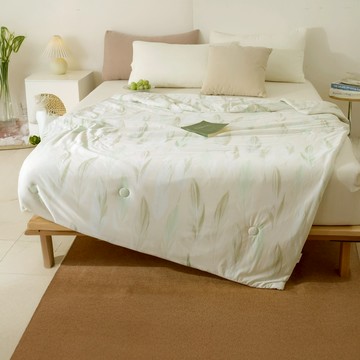 夢之語沁涼冰沙被 夏被 輕柔透氣 舒適好眠  青碧  200 x 150cm