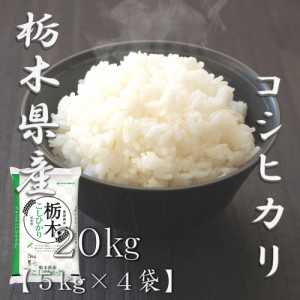 米 お米 令和5年産 栃木県 コシヒカリ 5kg×4袋 合計 20kg