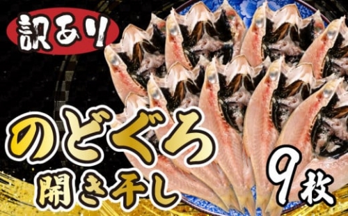 のどぐろ 高級魚  開き 干し 訳あり 下関 9尾 小サイズ