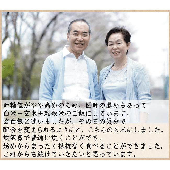 ポイント3倍 新米 玄米 無洗米 からだにやさしい健美玄米 令和5年産 2kg 送料別  (岩手ひとめぼれ 使用) 北海道沖縄へのお届けは送料1520円（SL）