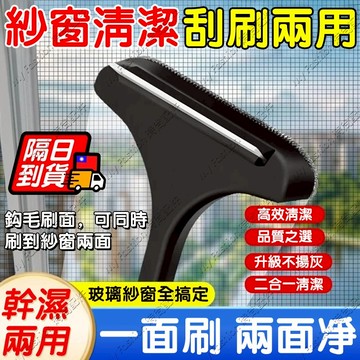 隔日達🚀紗窗清潔刷 刮玻璃刷紗窗二合一 靜電除塵 除塵刷 長柄刷 窗戶清潔 掃除玻璃清潔刷 刮玻璃可拆卸靜電除塵紗窗刷