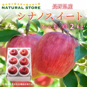 [予約 10月10日-11月30日の納品]  シナノスイート 約 2kg 5-6玉 大玉 秋ギフト 長野県産 りんご リンゴ 林檎 蜜入り