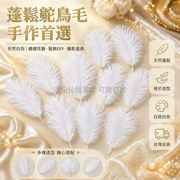 台灣出貨✨ 鸵鳥羽毛 蓬鬆DIY手工材料 婚禮花藝裝飾 髮飾服裝輔料 拍攝道具 自然色長毛