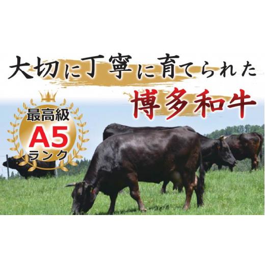 ふるさと納税 福岡県 那珂川市 博多和牛サーロインステーキセット 500g（250g×2枚）＜株式会社MEAT PLUS＞那珂川…