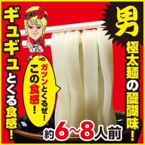 激ウマ 讃岐 熟成 半生 完熟 極太麺 便利な個包装 250g×3袋 750g 送料無料 最安値挑戦 お取り寄せお試し ♪