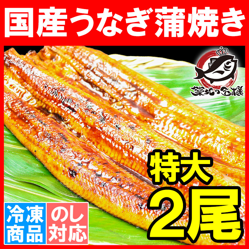 国産うなぎ蒲焼き 大サイズ 平均165g前後×2尾