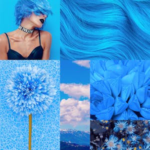 Créer un Moodboard pour votre marque avec Canva