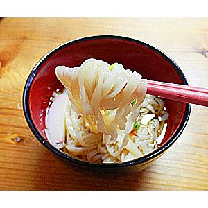 生うどん ４人前(2食×2パック入) 生うどん 冷凍 麺つゆ付 冷凍生うどん 生 うどん ウドン 饂飩 うどん つゆつき