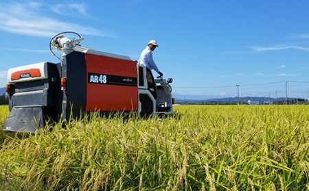  特別栽培米 つや姫 計10kg 5kg×2袋 2023年産 産地直送 農家直送 ブランド米 [061R5-009]