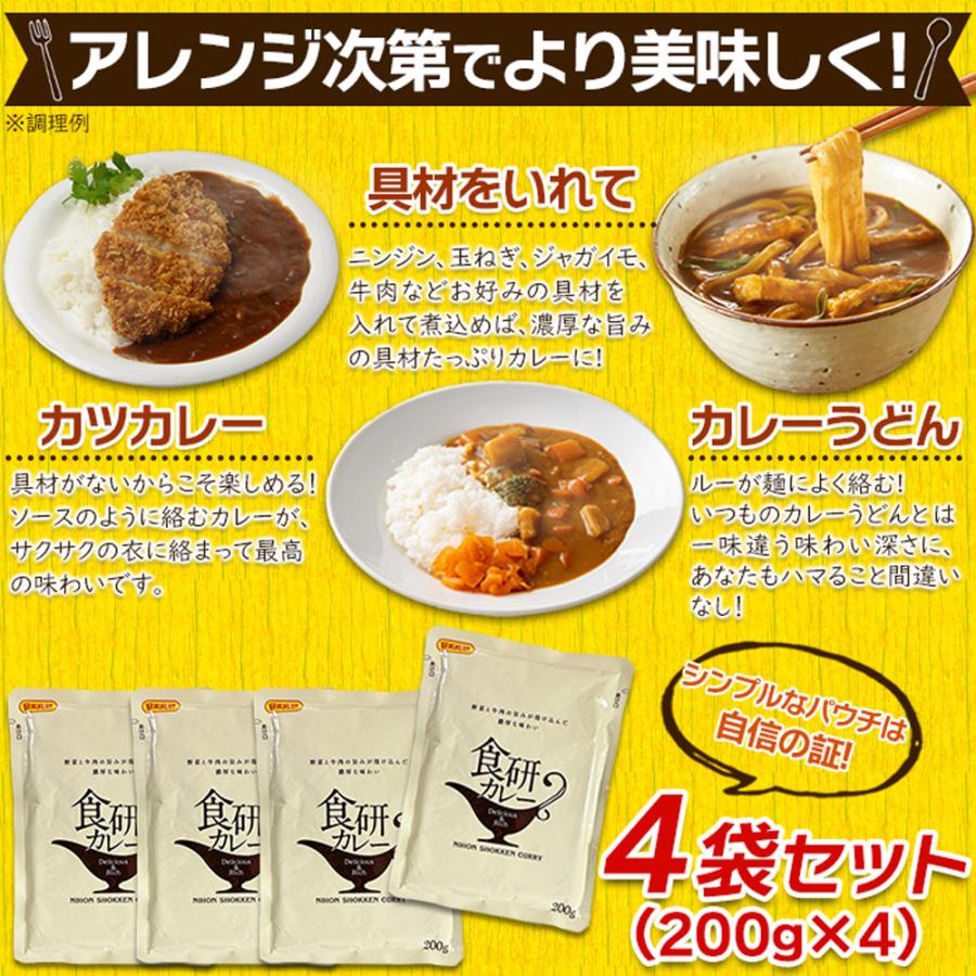 美味しいレトルト食研カレー4食(200g×4袋) 20種類以上のスパイス使用！ SM00011161