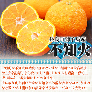 ＜先行予約受付中！2024年2月頃より順次発送予定＞光センサー選別！完熟不知火(約2kg) 国産 鹿児島県産 柑橘類 しらぬい フルーツ 果物 果実 デザート おやつikemoto-1159