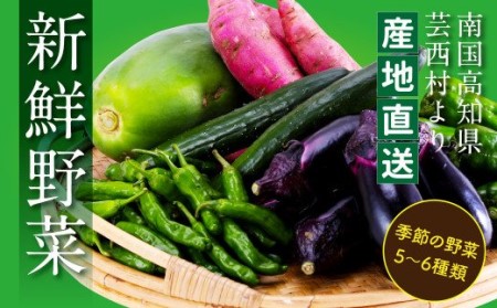 朝どれ！ 野菜詰合せ／芸西村で採れた新鮮な野菜6～8種類をお届けします。特産品 ピーマン ナス こだわりの栽培方法 環境に優しい 安全で安心な野菜づくり  支援品