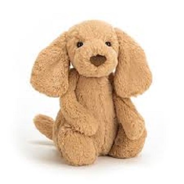 【Daniel's Friend's】JELLYCAT-娃娃-害羞太妃糖小狗-31CM(台灣官方授權)