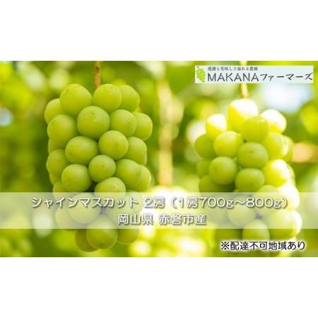 ふるさと納税 ぶどう 2024年 先行予約 シャイン マスカット 2房 （1房700g〜800g） 大粒 種無し ブドウ 葡萄  岡山県 赤磐市産  国産 フルーツ .. 岡山県赤磐市