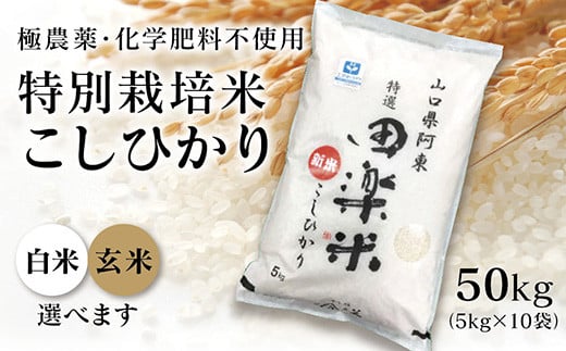 A-010 「田楽米」コシヒカリ50kg≪エコやまぐち50認証取得≫