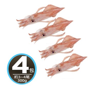 【華得水產】台灣現撈透抽4盒組(300g/約3-4尾)