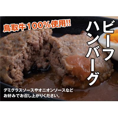 ふるさと納税 鳥取市 とりちく牛丼の素・鳥取ビーフハンバーグ詰め合わせ