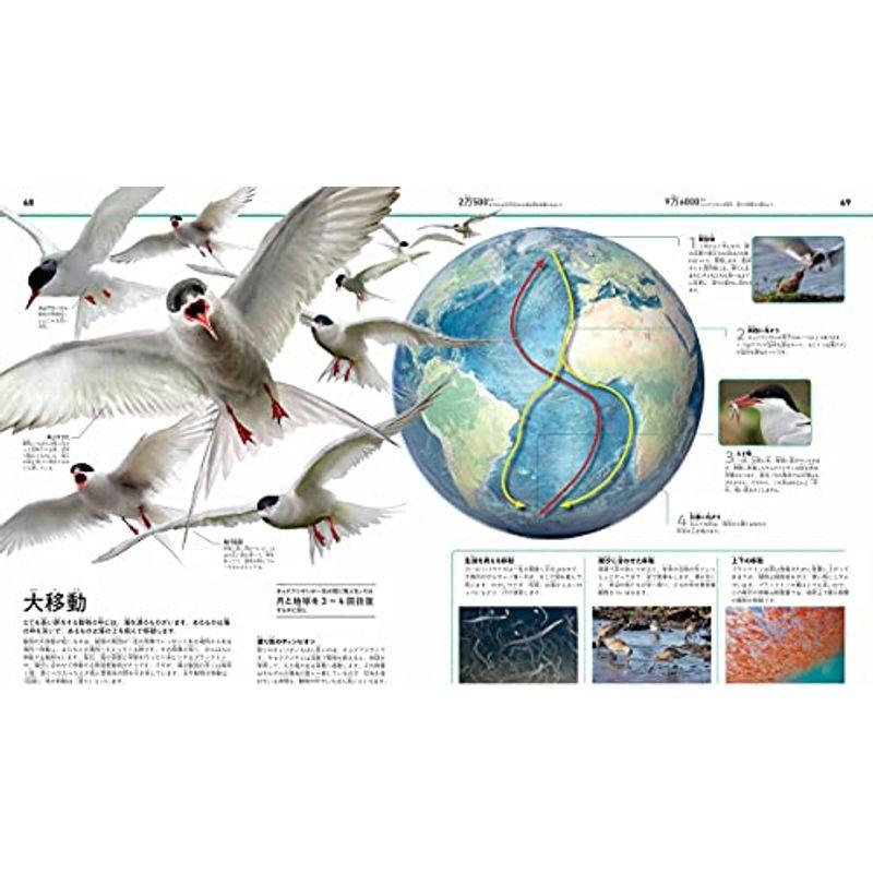 まるごとわかる 海の科学大図鑑