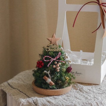 【遇見恆久】時光童話日本進口永生不凋雪松聖誕樹 含盒